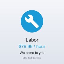 Labor - Computer Repair & IT Service (per hour)